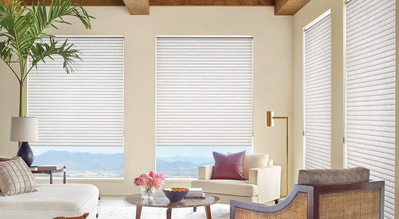 Modern living room with blinds and mountain view.